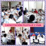 Capacitación - aplicación de piloto 2
